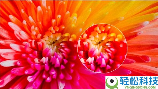 打破显示手艺瓶颈 追觅电视Aura Mini LED黑科技揭秘