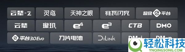 2025车企复购率榜单出炉：比亚迪车主复购率30.55%位居第一