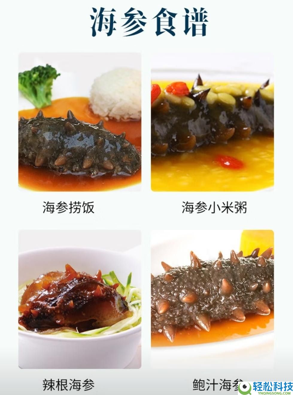 老尹家即食海参低至5折,京东生鲜联袂青岛市海洋开展局共推“海味青岛”