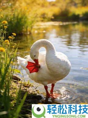 养分雄厚的鹅蛋 为什么很少有人吃 也很少有卖的？