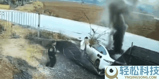 着火了乘客不会开门 怪车企乱学特斯拉吗