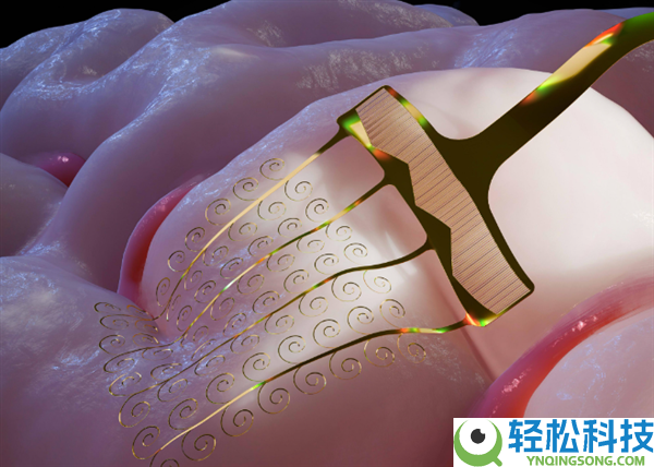 我国研制新型可拉伸柔性电极 破解脑机接口中心困难