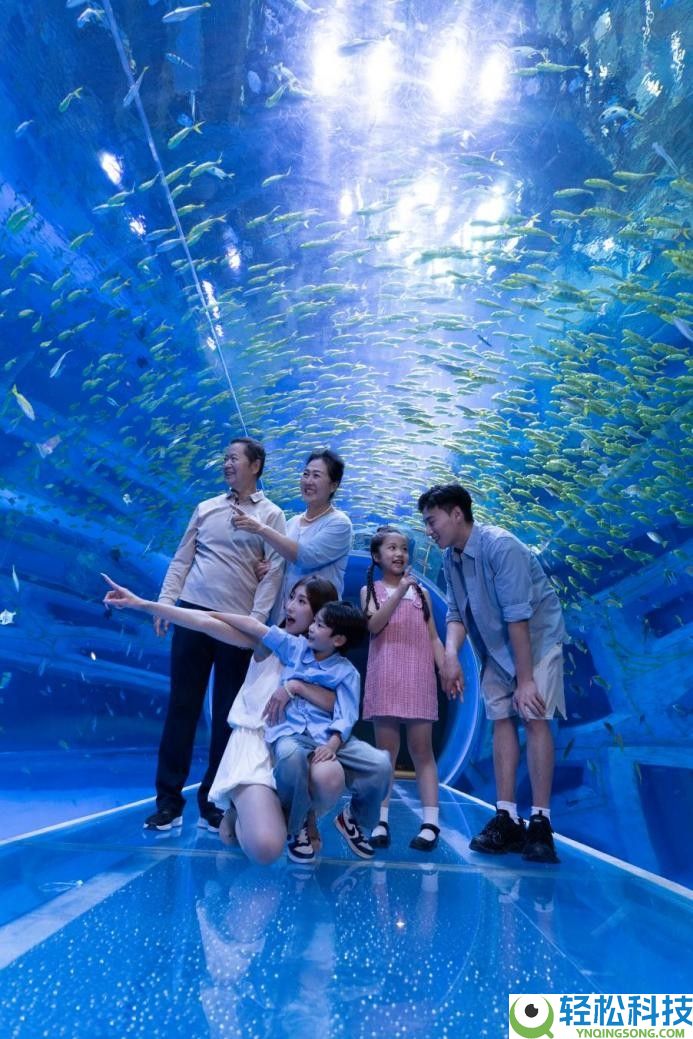 央视认证“小时迁” 万株郁金香花海  小梅沙这个春节年味儿浓