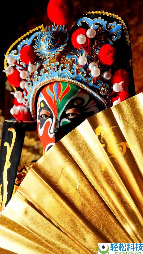 央视认证“小时迁” 万株郁金香花海  小梅沙这个春节年味儿浓