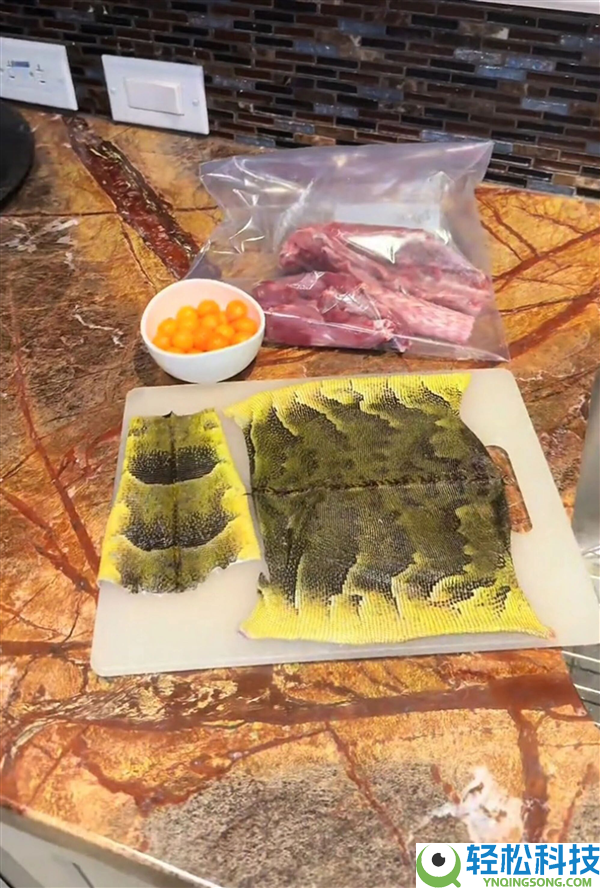 美国男人捡走冻僵的外来物种并吃掉 却遭网友训斥