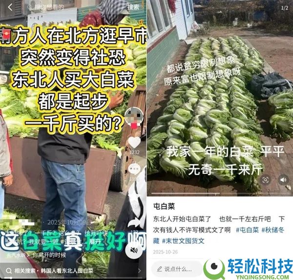 真的想问：一到冬季北方人囤几百斤白菜 真能吃完吗