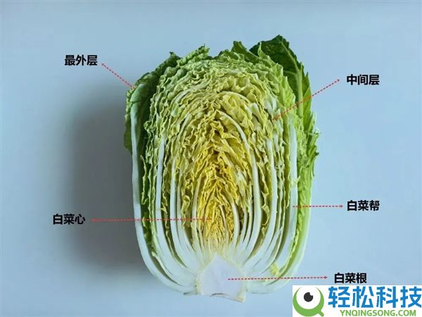 真的想问：一到冬季北方人囤几百斤白菜 真能吃完吗