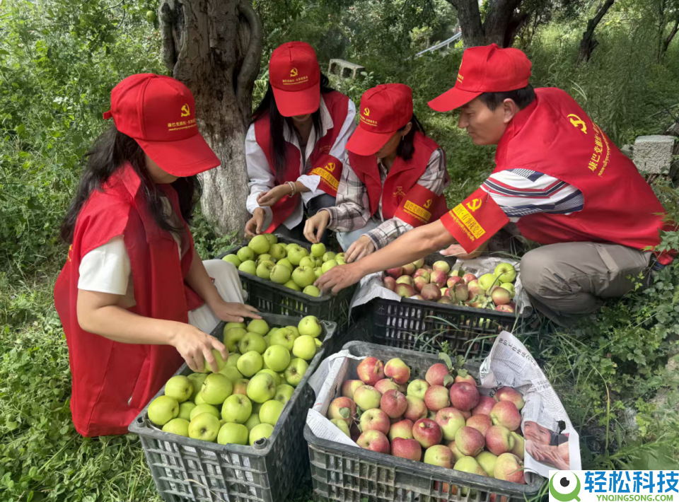 从云端 “空哥” 到高原 “守路人”：我与这片地盘的双向奔赴