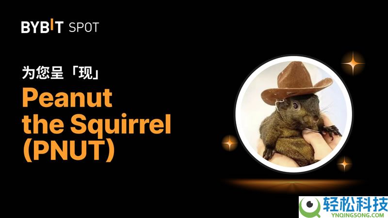 2025年12月值得关注的Pump.fun生态下的热门币种