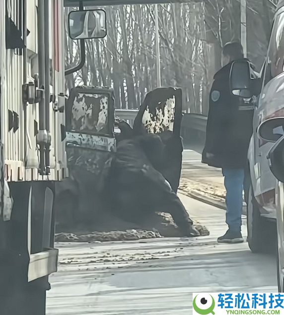 滋味溢出屏幕 老头乐不守交规被拉粪车泼一车粪