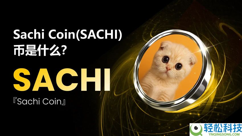 Sachi Coin(SACHI)币是什么？值得投资吗？SACHI币价格分析与预测