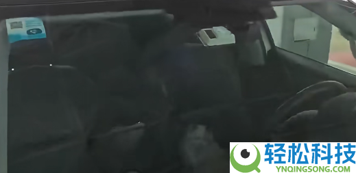 为难,男人驾车返乡竟被猫咪锁在车外：终局神反转