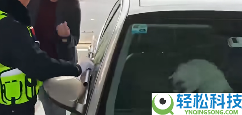 为难,男人驾车返乡竟被猫咪锁在车外：终局神反转