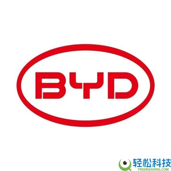 2025全球新动力销量前十榜单出炉：国产物牌占七席