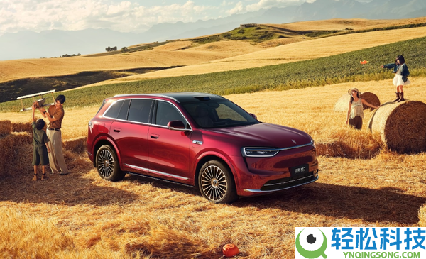 2025全球新动力销量前十榜单出炉：国产物牌占七席