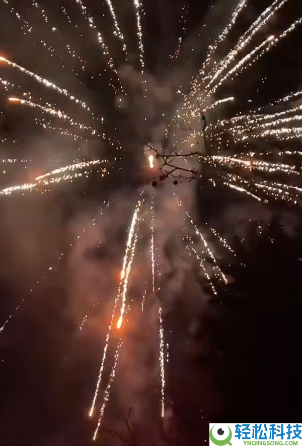 舞龙舞狮年味实足,法国万人村落一连10年自费过春节