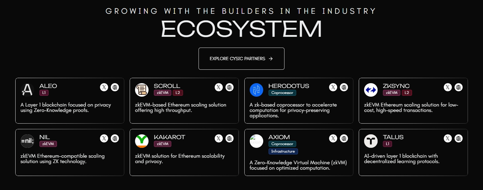 什么是Cysic(CYS)币？值得投资吗？Cysic项目概述和代币经济学介绍