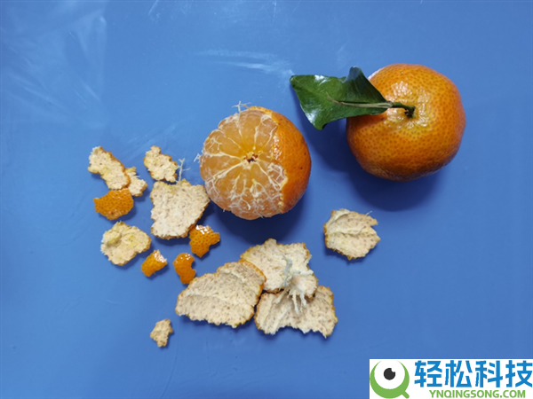 过年狂炫砂糖橘 我妈说我脸黄得像村口大黄狗