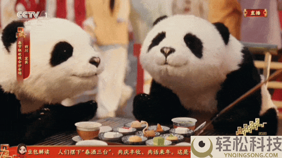 极限30天机械狗爆改大熊猫,揭秘春晚百台级机械人群控上演