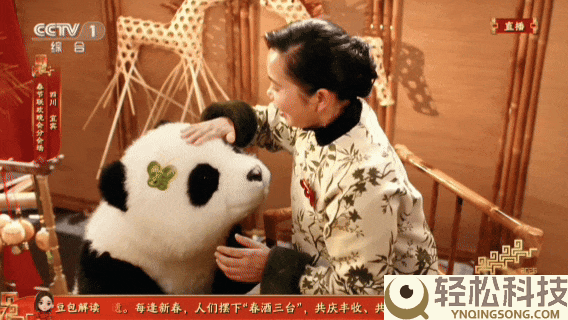 极限30天机械狗爆改大熊猫,揭秘春晚百台级机械人群控上演