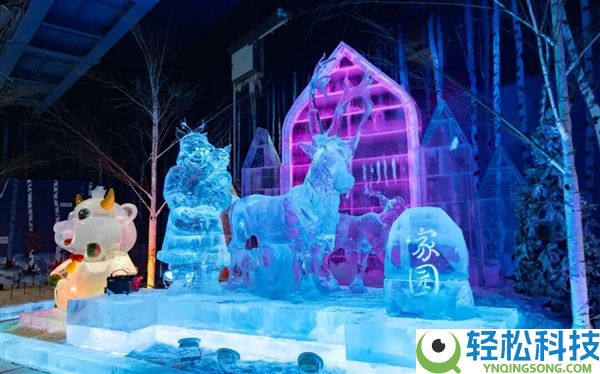 哈尔滨冰雪大世界因气温降低提早闭园：给旅客退票后 许诺下届收费看