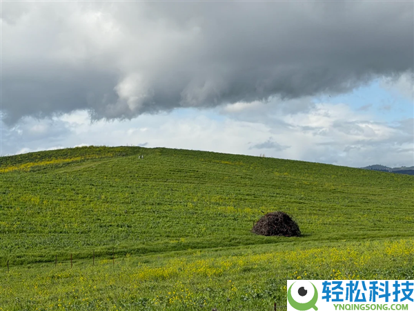 30年未变,路人抓拍Windows XP经典壁纸原景：重现1996年局面