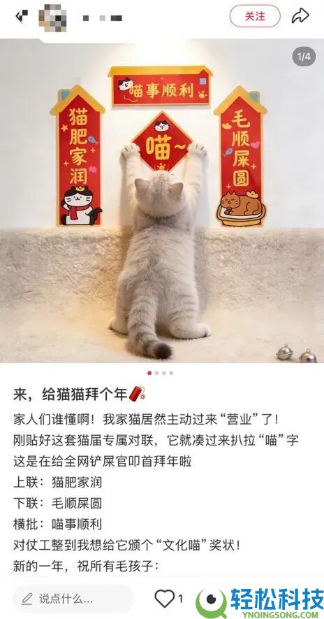 看懵了,这届年青人的春节 门路相称野