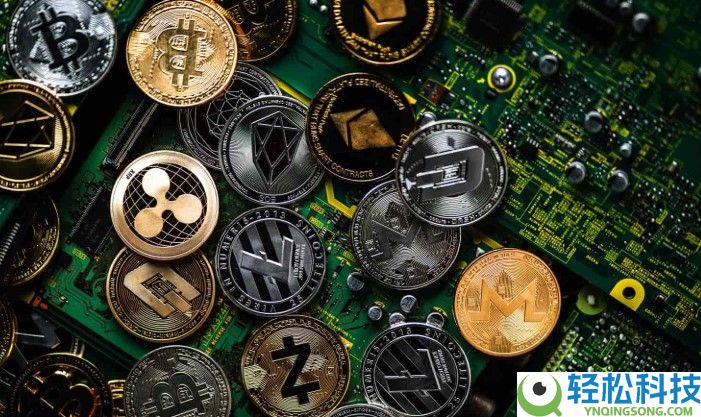 投机币凉了？股权币正崛起