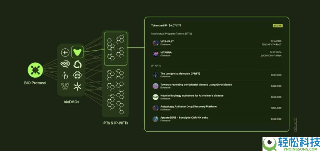 Bio Protocol(BIO)币是什么?BIO代币经济学、价格预测及购买指南