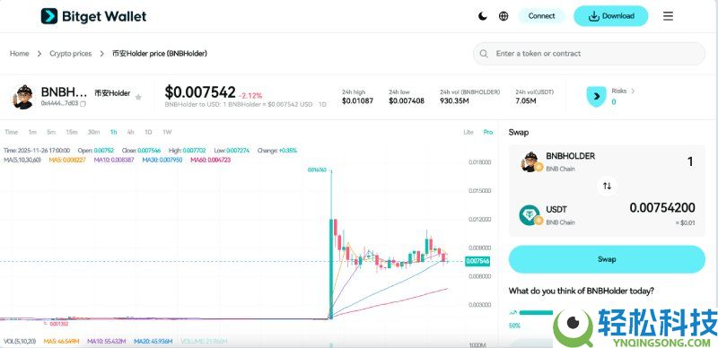 什么是Holder(BNBHOLDER)币?未来潜力如何?BNBHOLDER价格预测