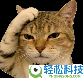 DeepSeek连更GitHub 华尔街回忆起被安排的惧怕