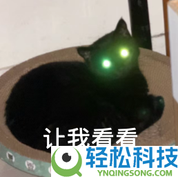 DeepSeek连更GitHub 华尔街回忆起被安排的惧怕