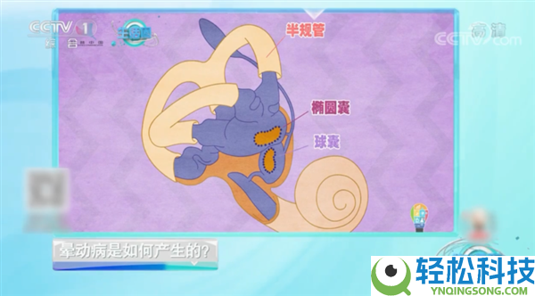 为什么晕车的人良多 却觉得晕高铁的人很少