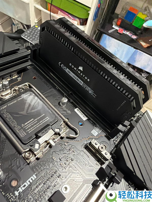 仅花800多元成功拿下32GB DDR5：卖家误当DDR4贱卖