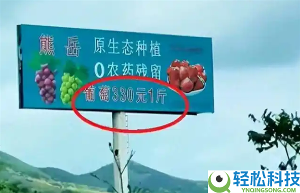 葡萄330元1斤 草莓360元1斤 公司参保人数为0 曾称浇灌一次要用800斤牛奶兑水