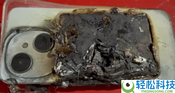 巴西男人被两条狗狂咬 手机倏忽爆炸救了他一命