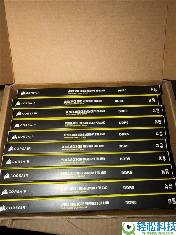 赚大了,网友网购一条32GB DDR5内存 翻开包裹目瞪口呆：竟收到十条