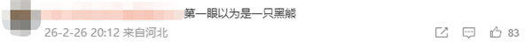 “全网最黑”大熊猫引热议 网友：认为是AI 制止Cos黑熊