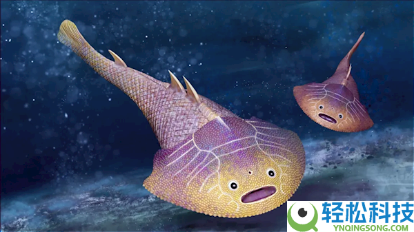 4.38亿年前武宁西海鱼化石现身 恢复图呆萌