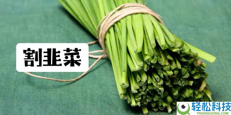 割韭菜是什么意思?特征是什么?虚拟货币韭菜特征及避免被割的方法