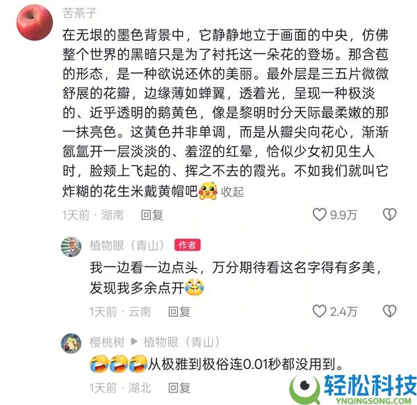 专家拜托给新种类兜兰征名 “炸糊的花生米戴黄帽”高居第一