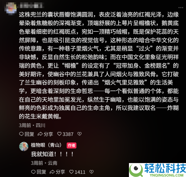专家拜托给新种类兜兰征名 “炸糊的花生米戴黄帽”高居第一