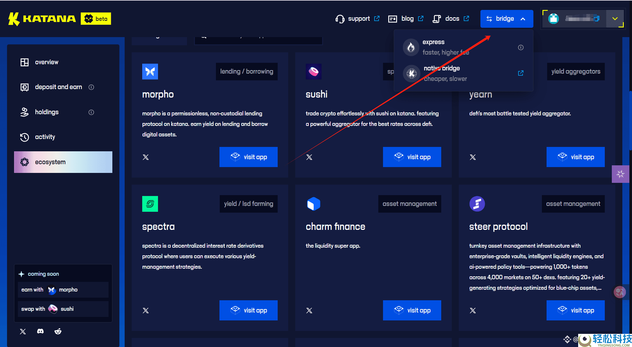 专为DeFi设计的公链Katana详细交互教程