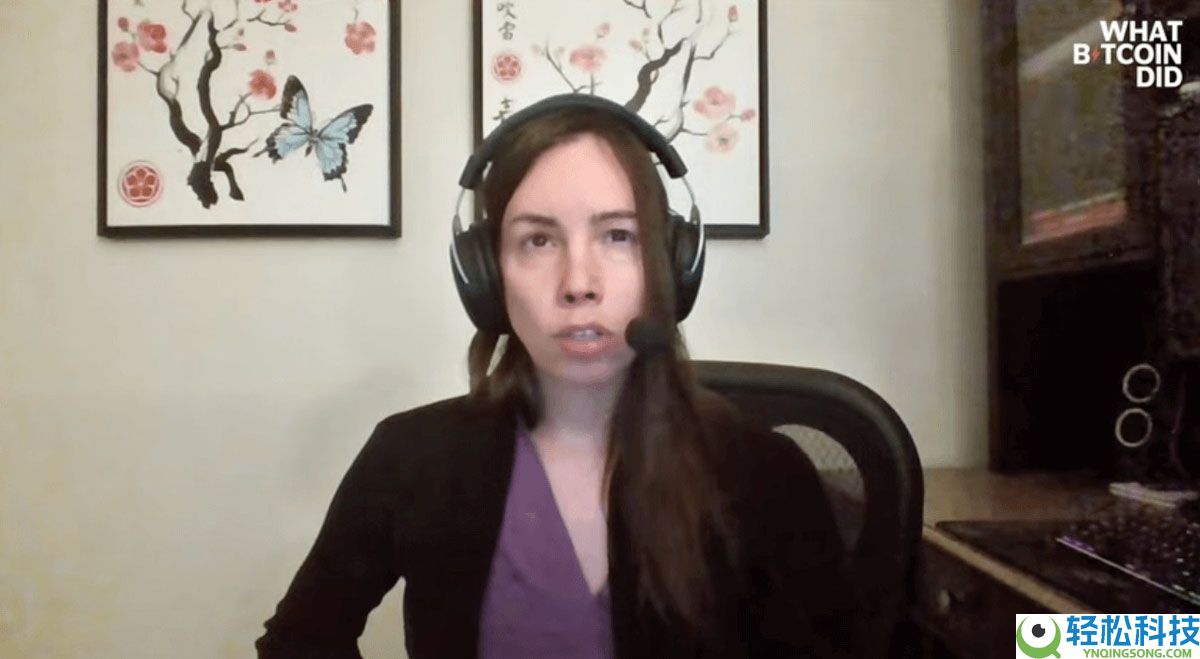 Lyn Alden：加密市场尚未达到”狂热水平“，比特币（BTC）不会出现重大崩盘