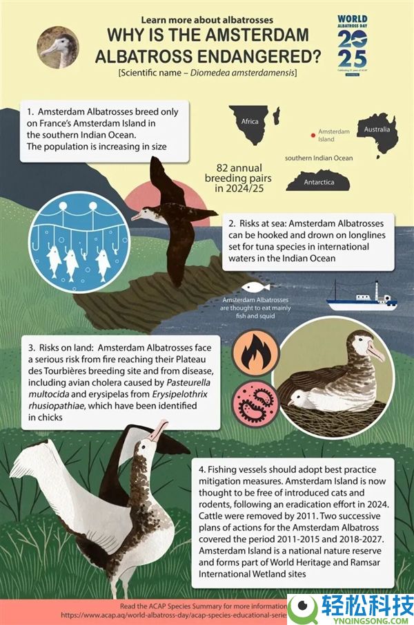 人类脱离了 一群牛统治一座岛