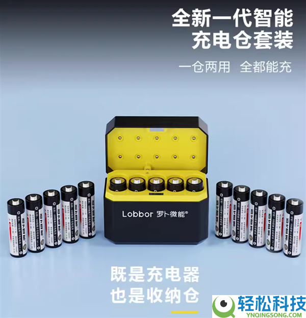 一仓两用 罗卜微能5/7号固态充电电池10节99元大促