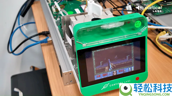 20万个活体人类神经元在电脑芯片上激活,居然能本人玩《消灭兵士》游戏