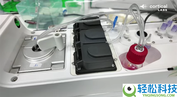 20万个活体人类神经元在电脑芯片上激活,居然能本人玩《消灭兵士》游戏