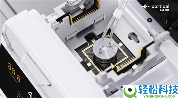 20万个活体人类神经元在电脑芯片上激活,居然能本人玩《消灭兵士》游戏