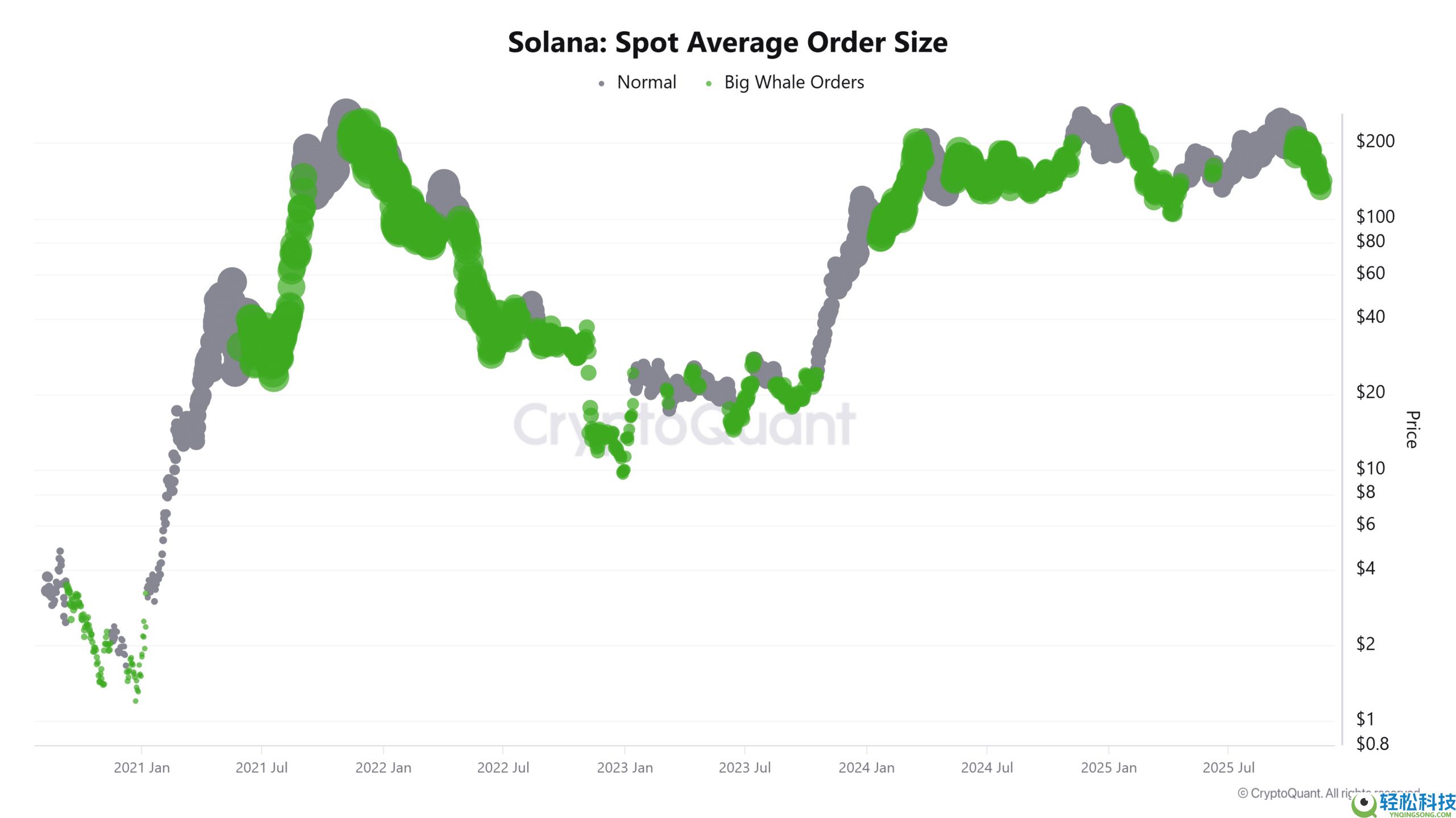 Solana(SOL)币价格预测：会即将出现大幅反弹吗？一文分析